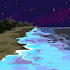 Meet your Posher, Danika